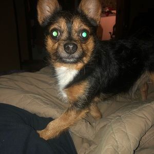 Meet your Posher, Kimberly